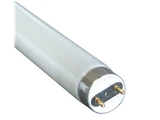 Fluorescent Tubes